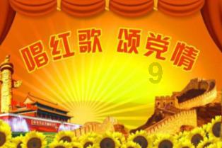 荒野八人组